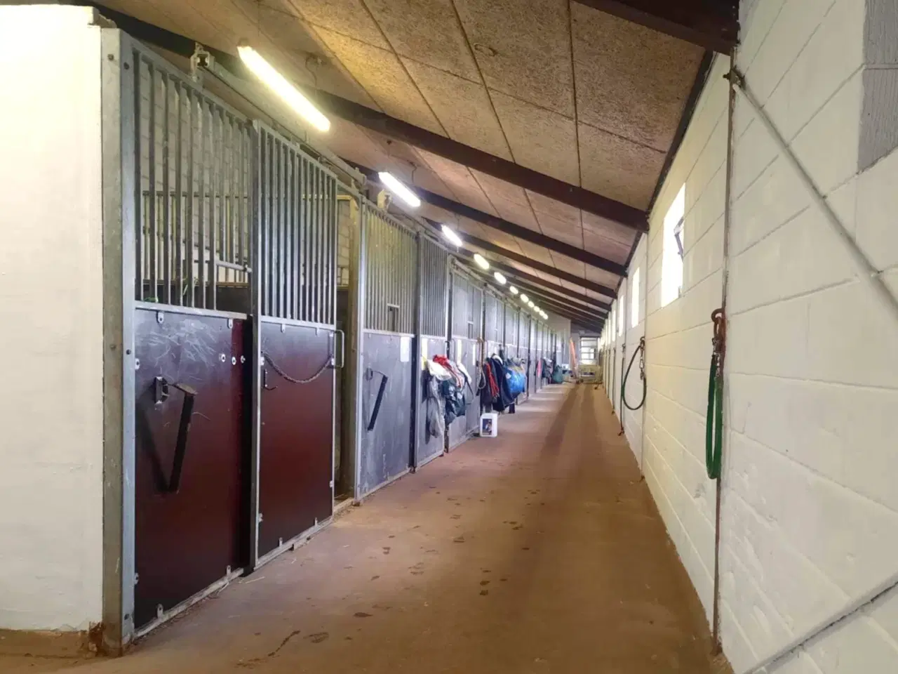 Billede 7 - Privat opstaldning i 7300 Jelling