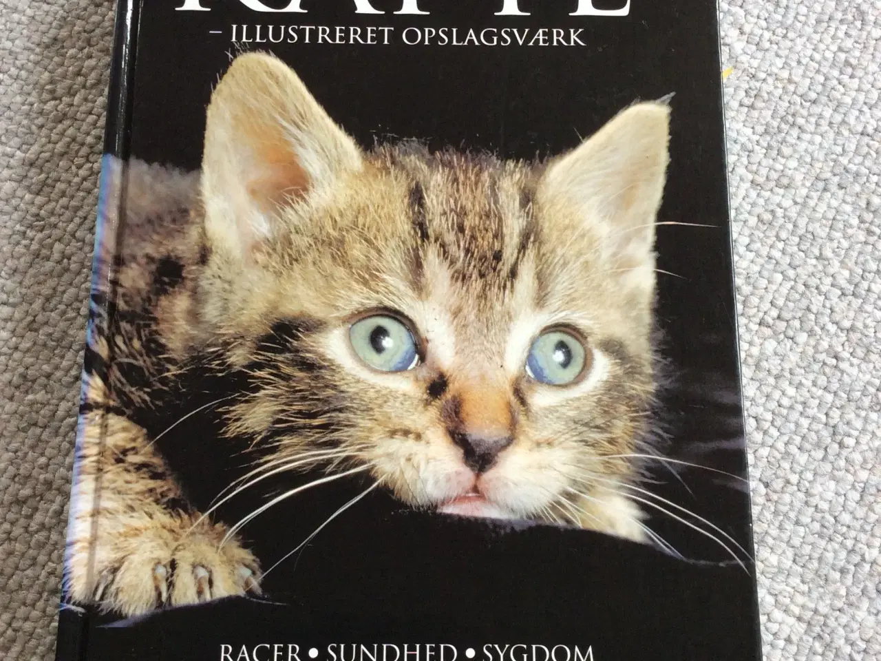 Billede 1 - Bog om katte 