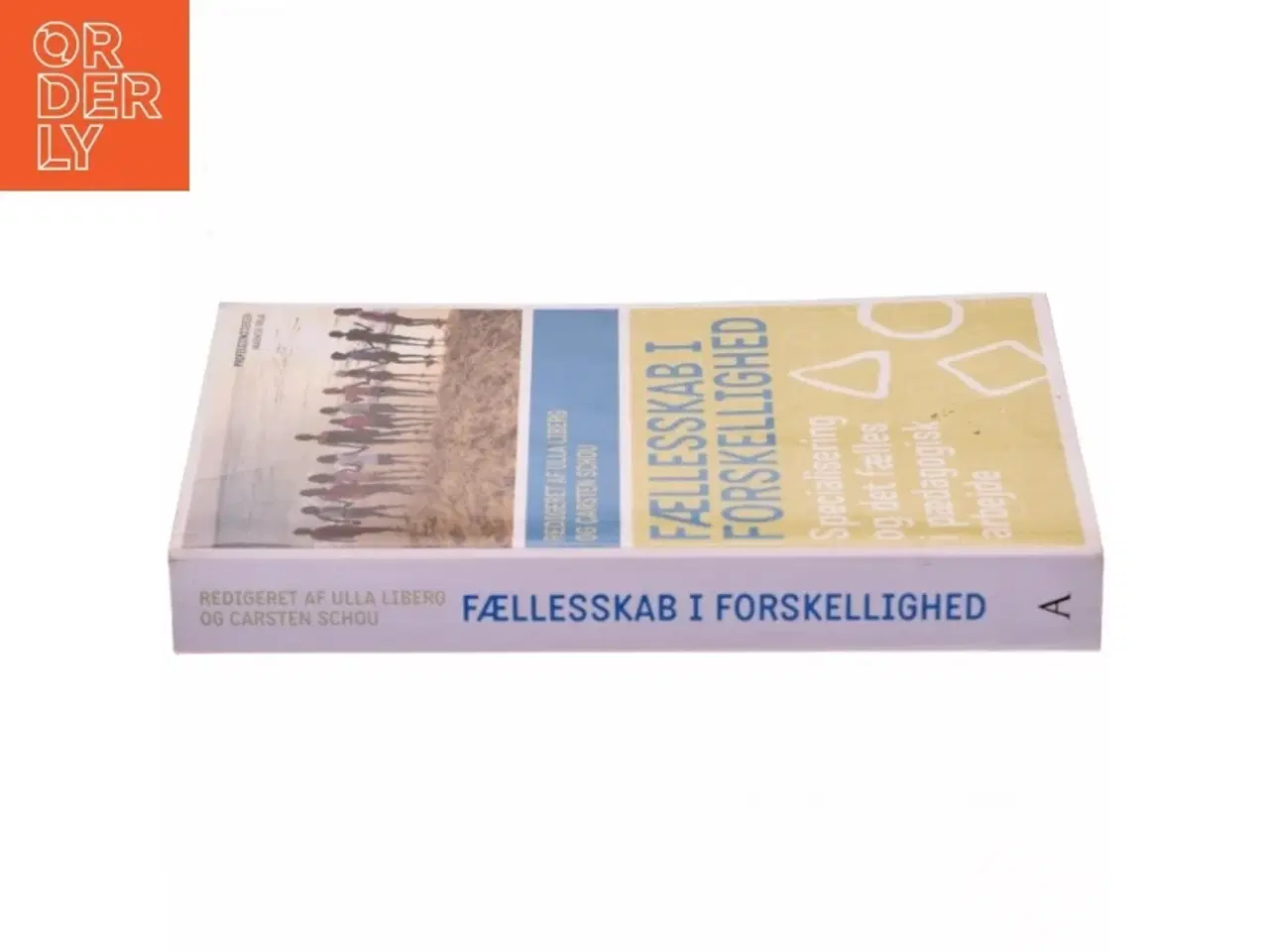 Billede 3 - Fællesskab i forskellighed : specialisering og det fælles i pædagogisk arbejde (Bog)