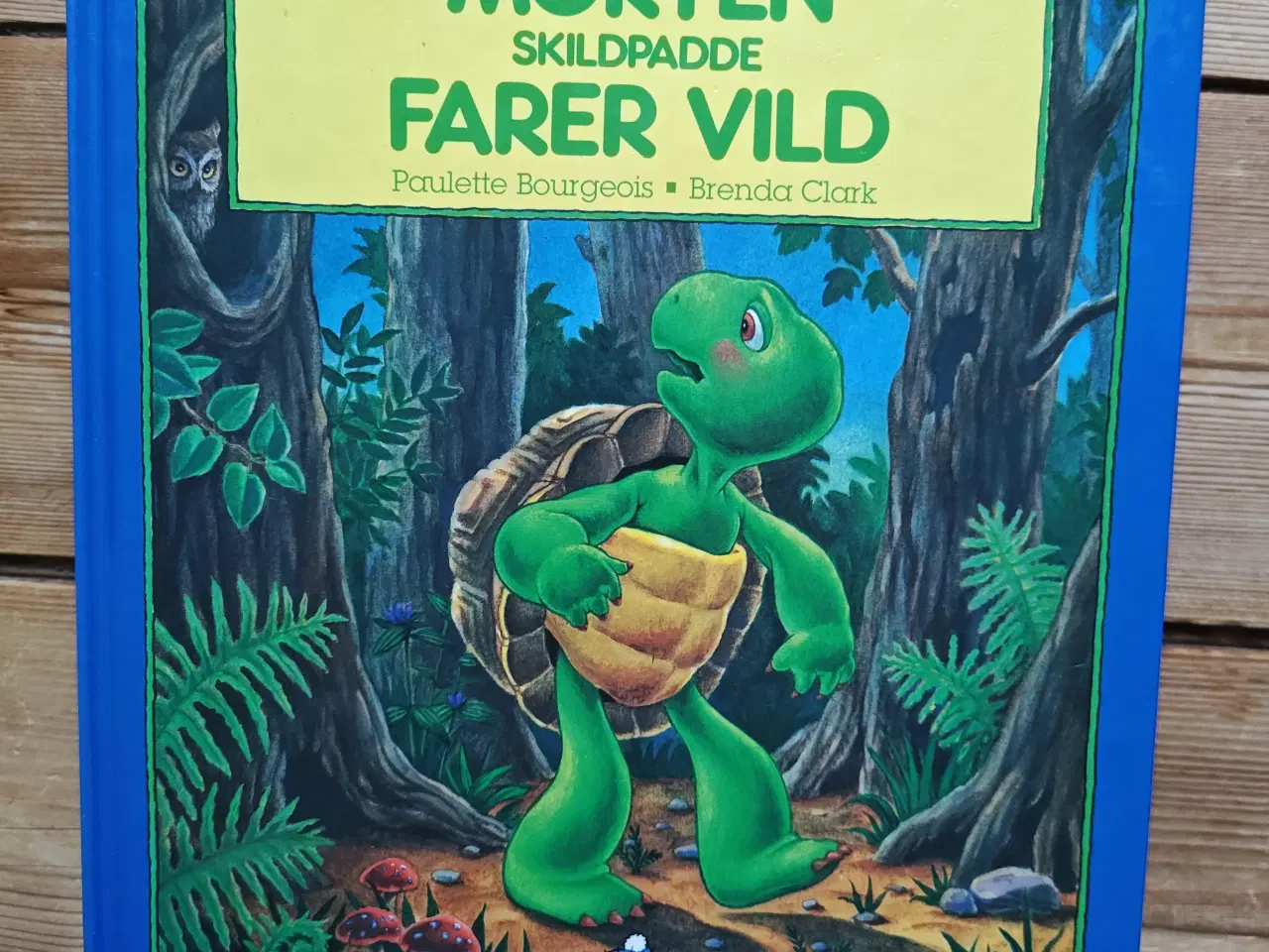 Billede 1 - Morten Skildpadde farer vild BOG