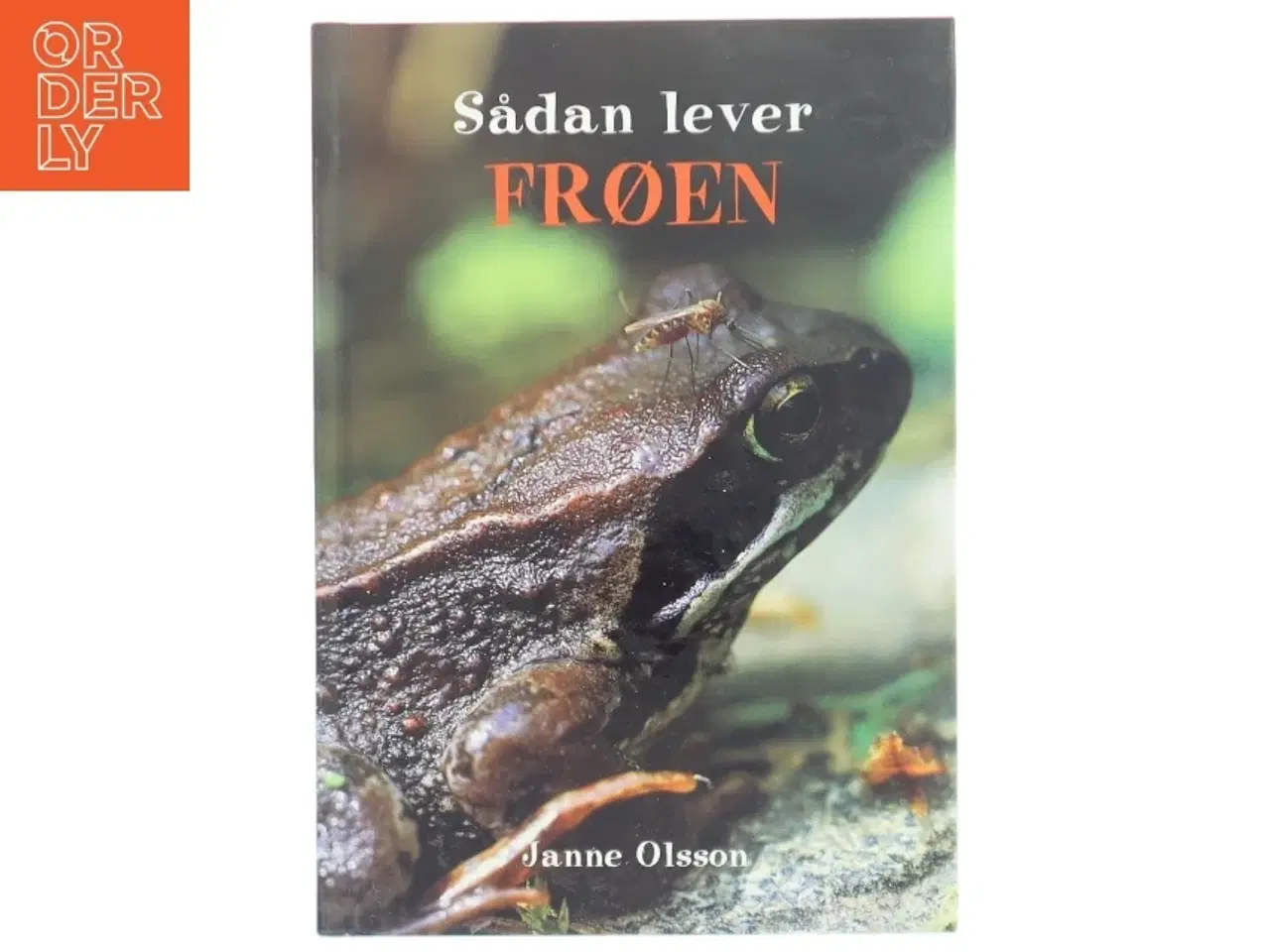 Billede 1 - Sådan lever frøen af Janne Olsson (Bog)