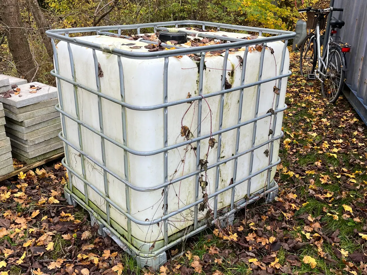 Billede 2 - Palletank og pallebur 