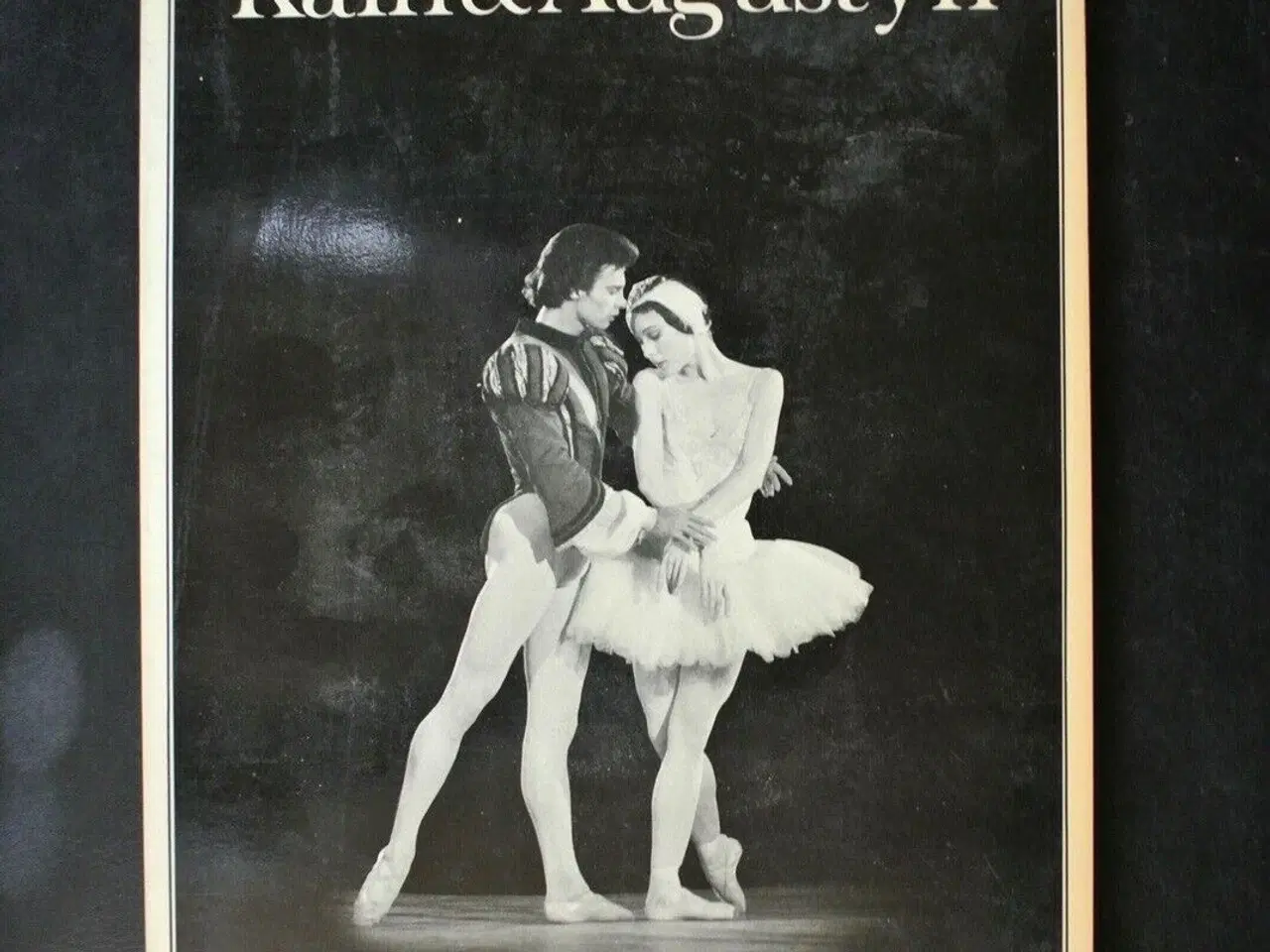 Billede 1 - kain and augustyn, by john fraser. photo by christ