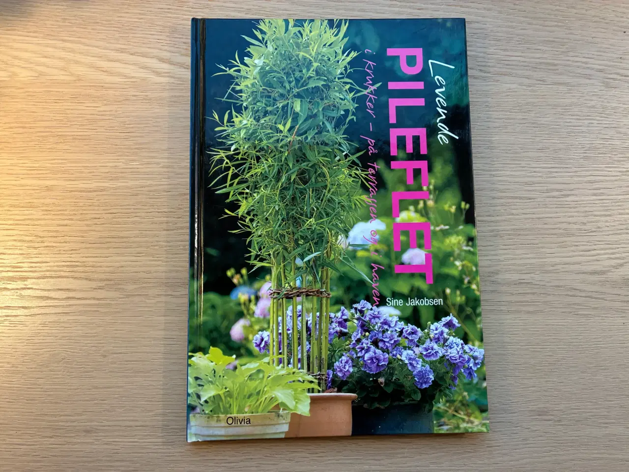 Billede 1 - Levende PILEFLET i krukker, på terassen og i haven