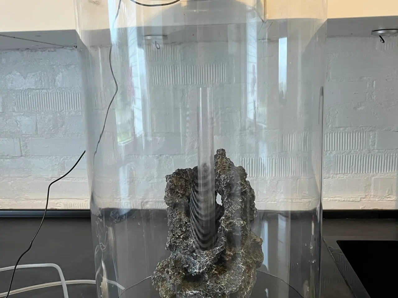 Billede 1 - Bio akvarie nyt