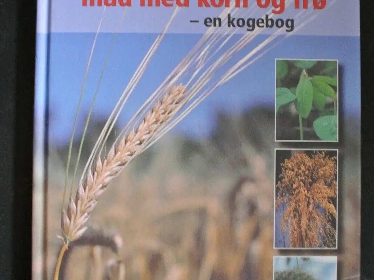 Billede 1 - mad med korn og frø - en kogebog, af anemette oles