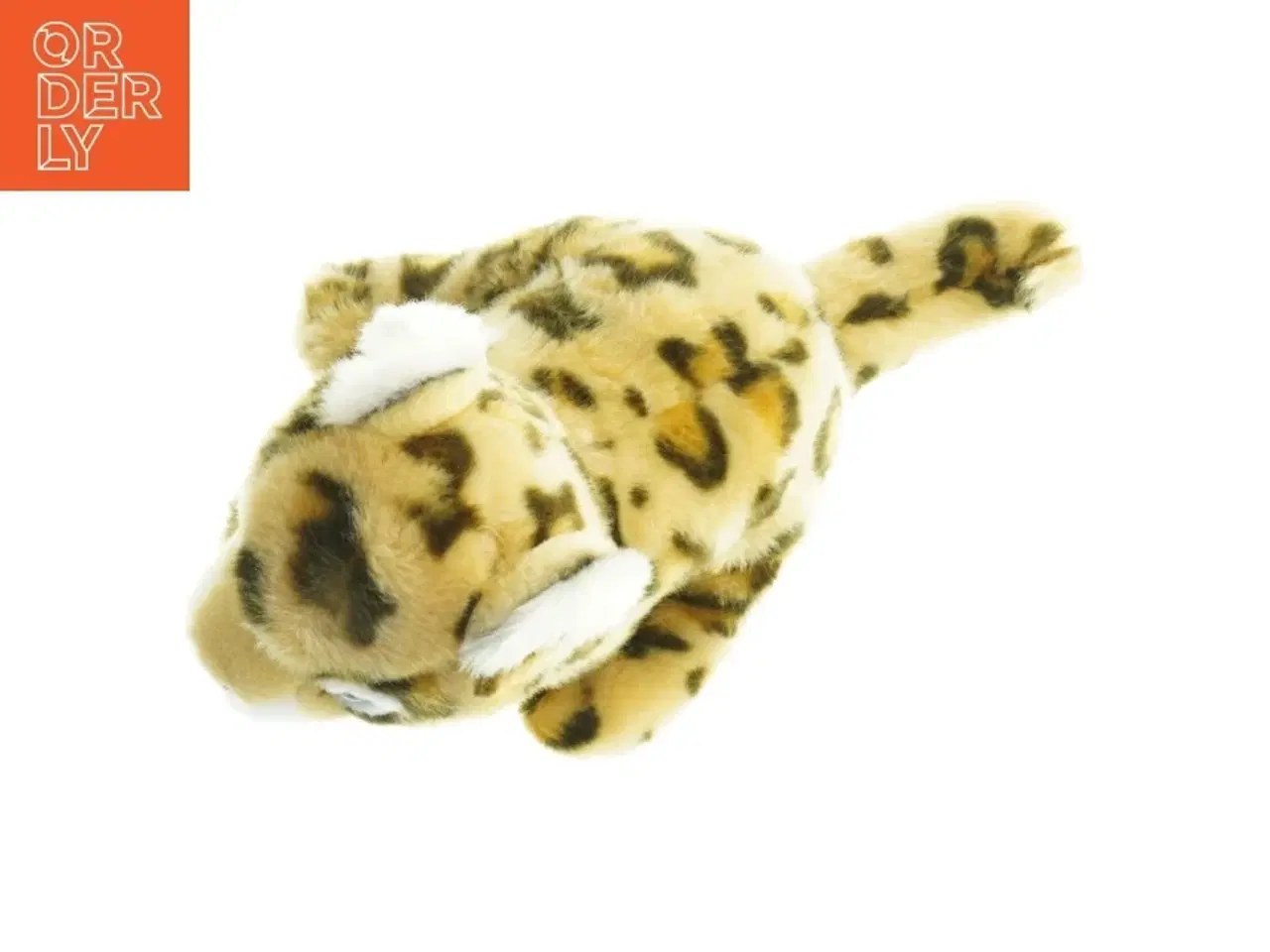 Billede 2 - Tigerbamse fra Zoo København (str. 34 x 22 cm)