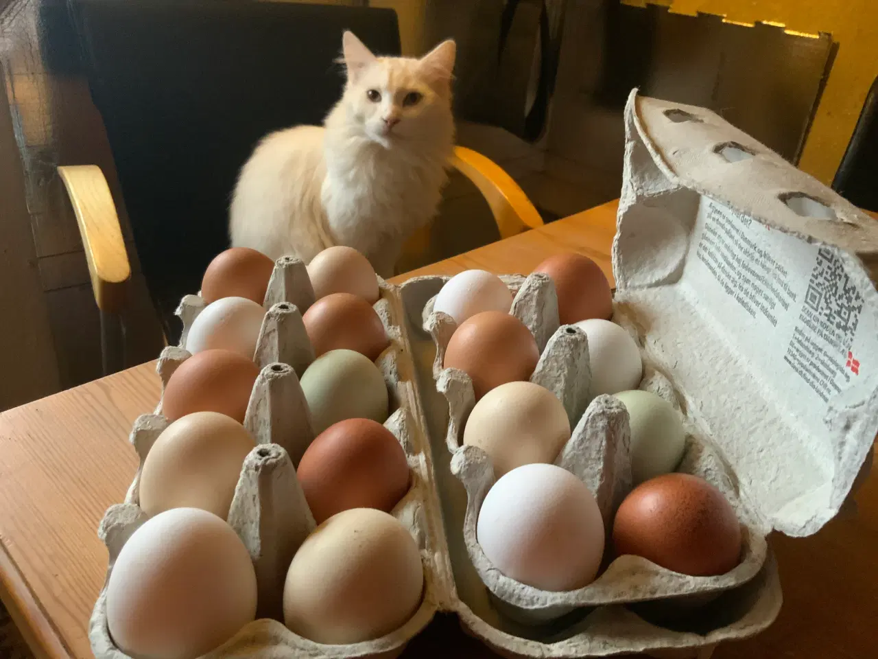 Billede 3 - Rugeæg blandet racer. 🐔❤️af høns