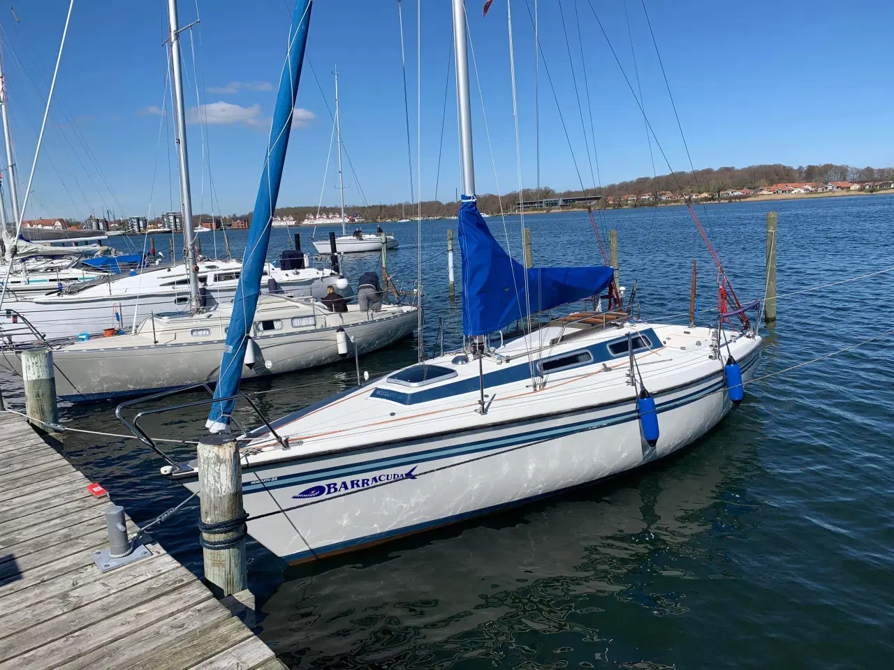 Billede 5 - Mosquito 88 famile og race båd