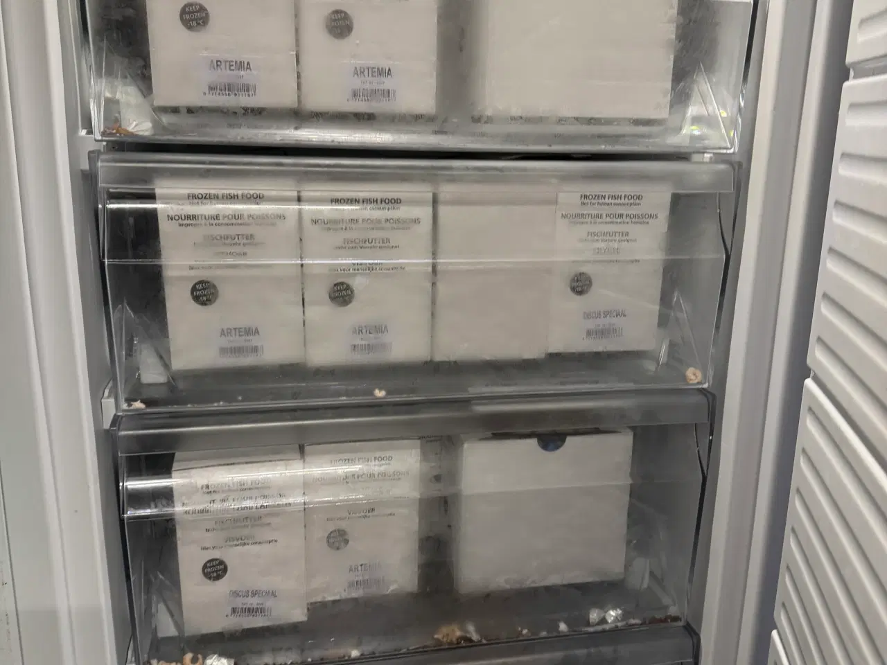 Billede 18 - Flotte akvariefisk og foder