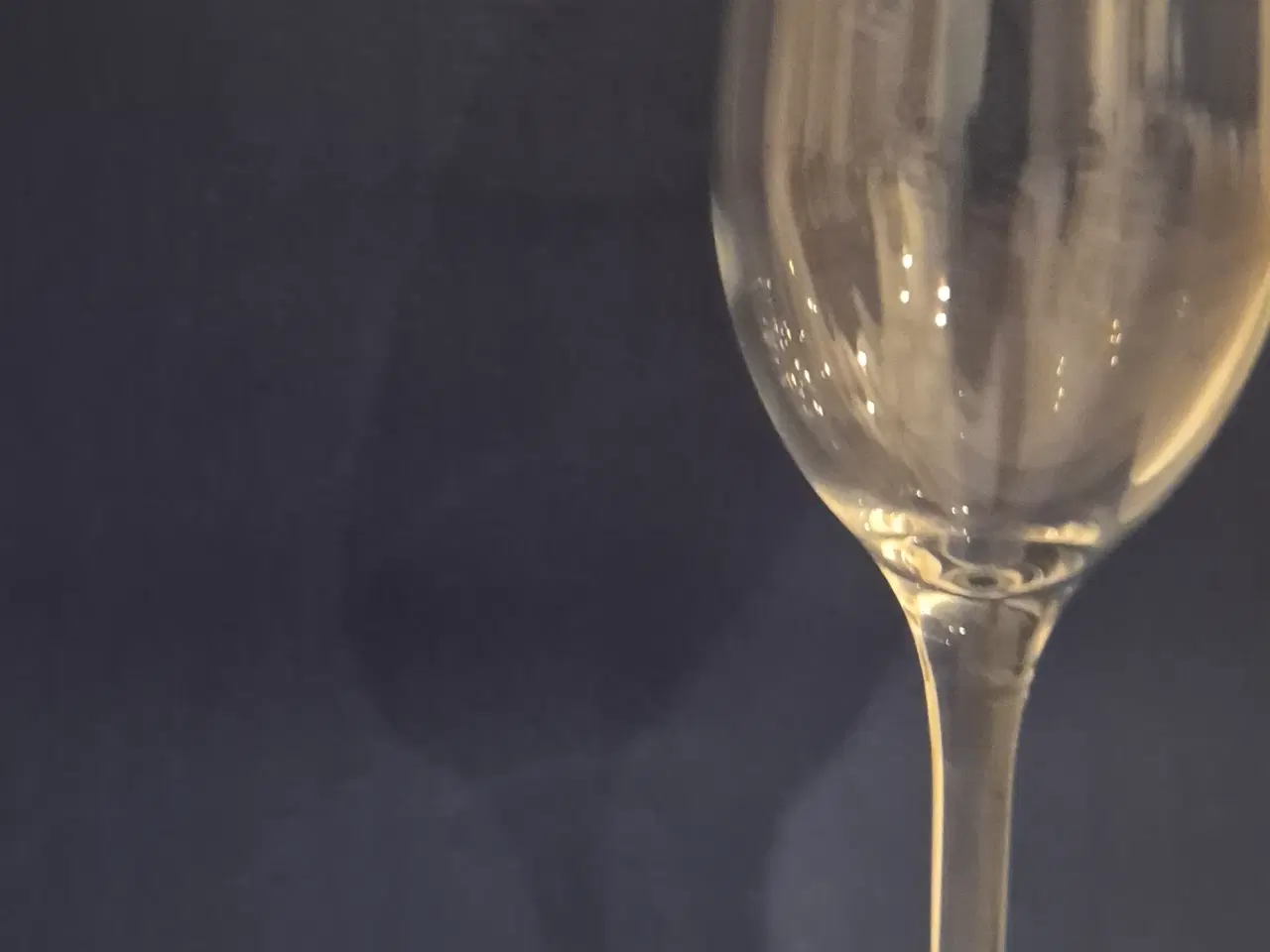 Billede 2 - Hvidvinsg las 