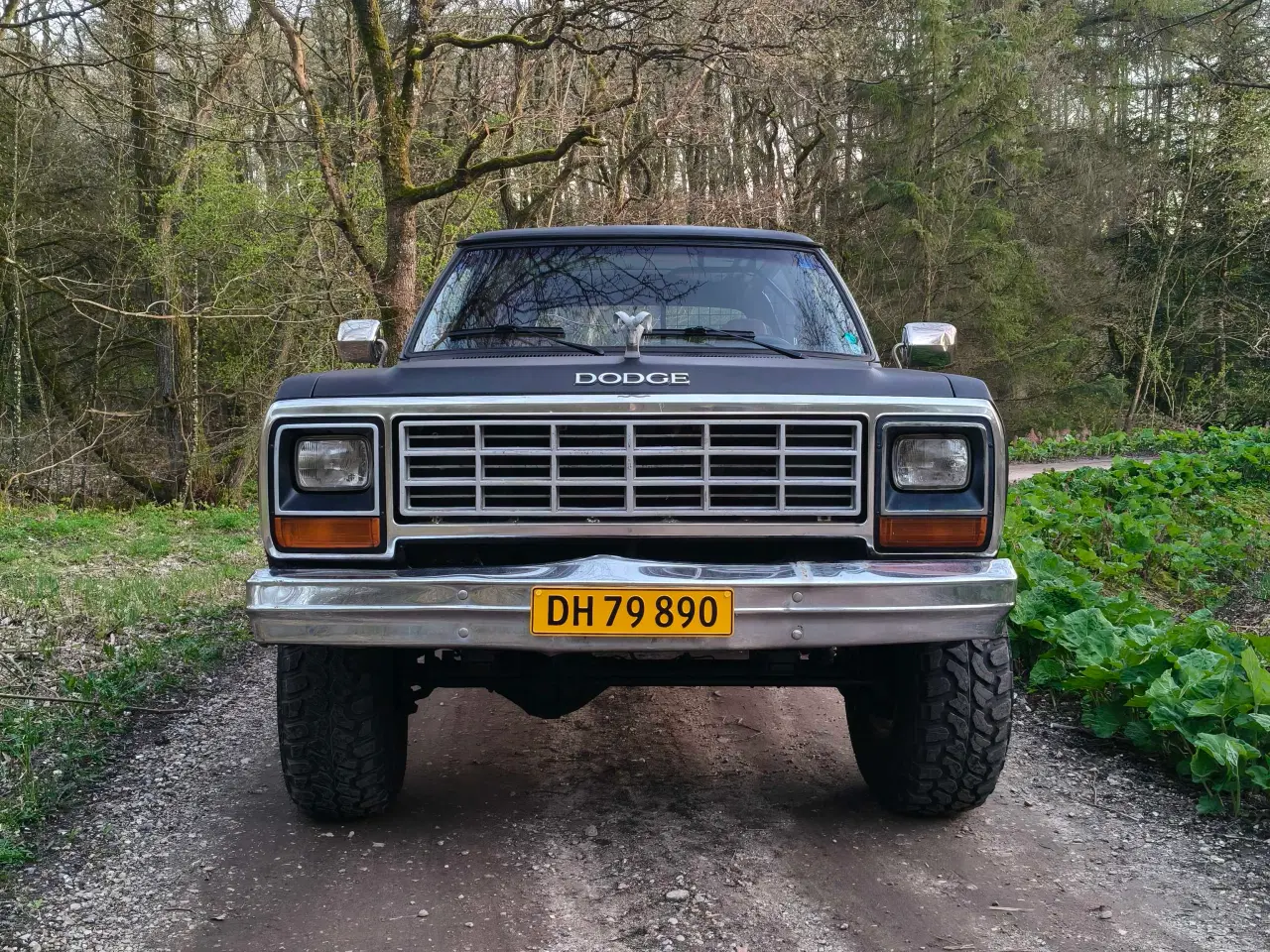 Billede 7 - Dodge Ramcharger 