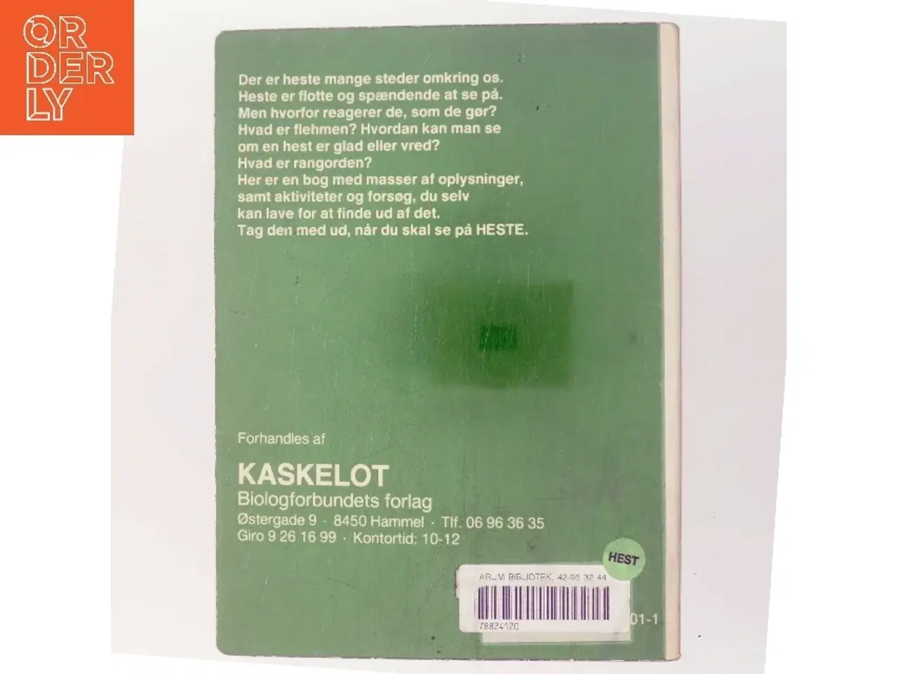 Billede 3 - Vi ser på heste af Susanne Mørk-Jensen (Bog)