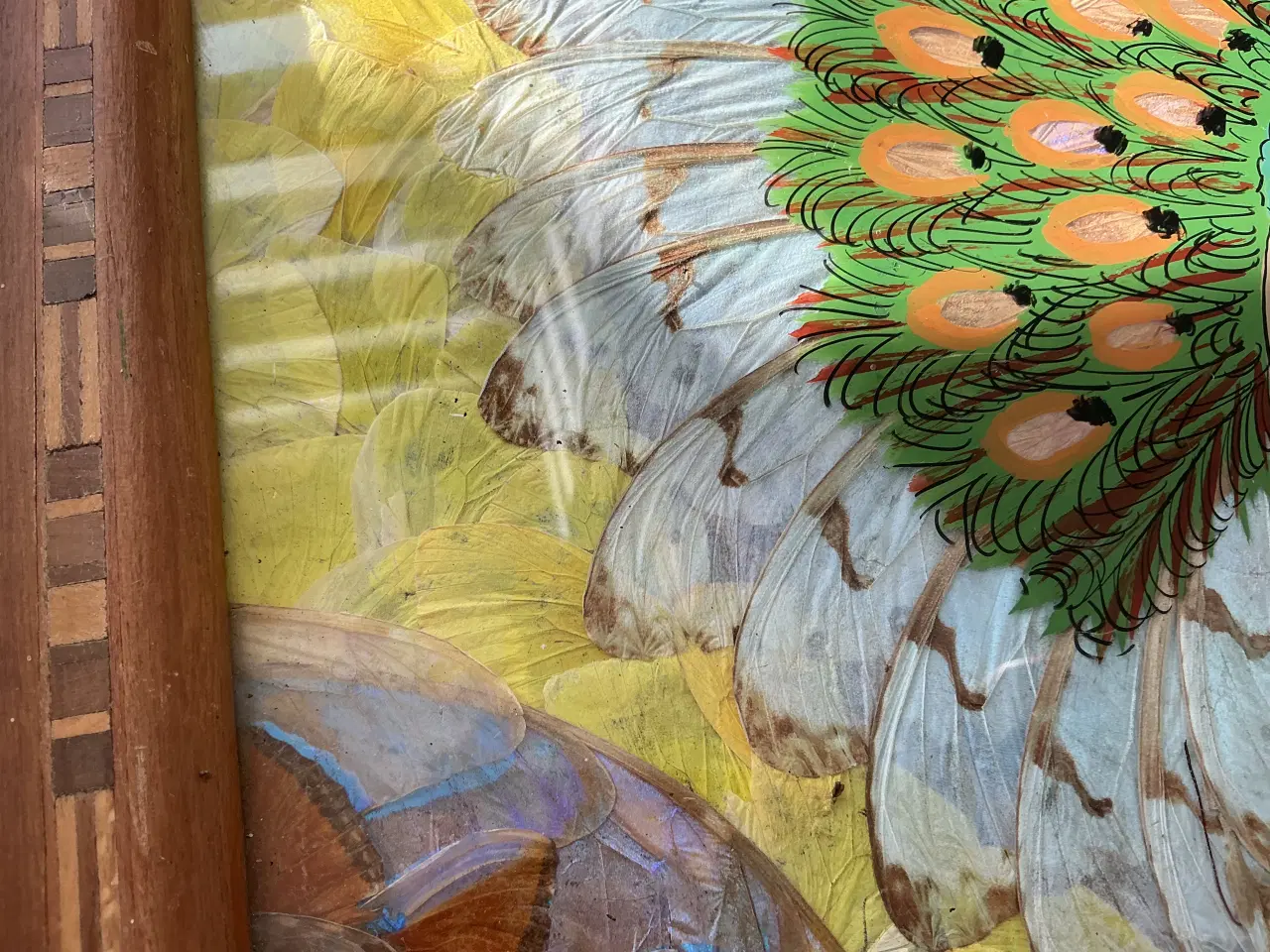 Billede 7 - Sommerfuglebakke