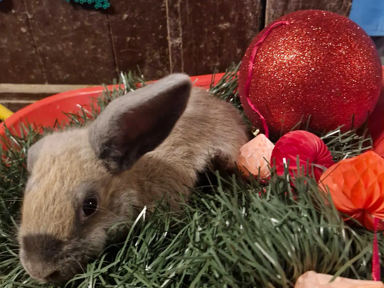 Billede 2 - Skønne rundkørsler med mulighed for tilbage leveri