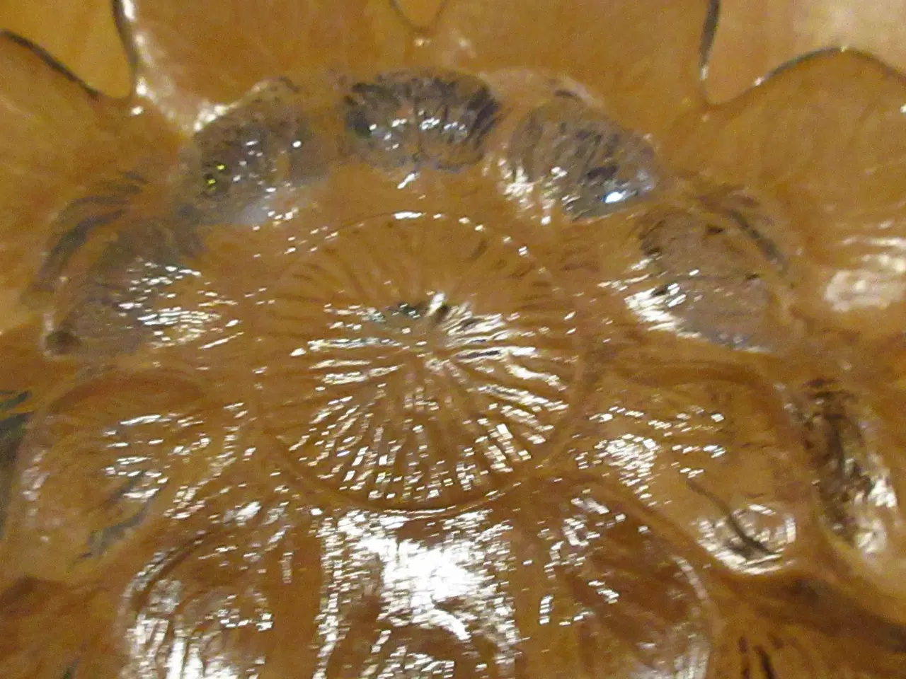 Billede 4 - Blomst Glas skål, til kaffebordet