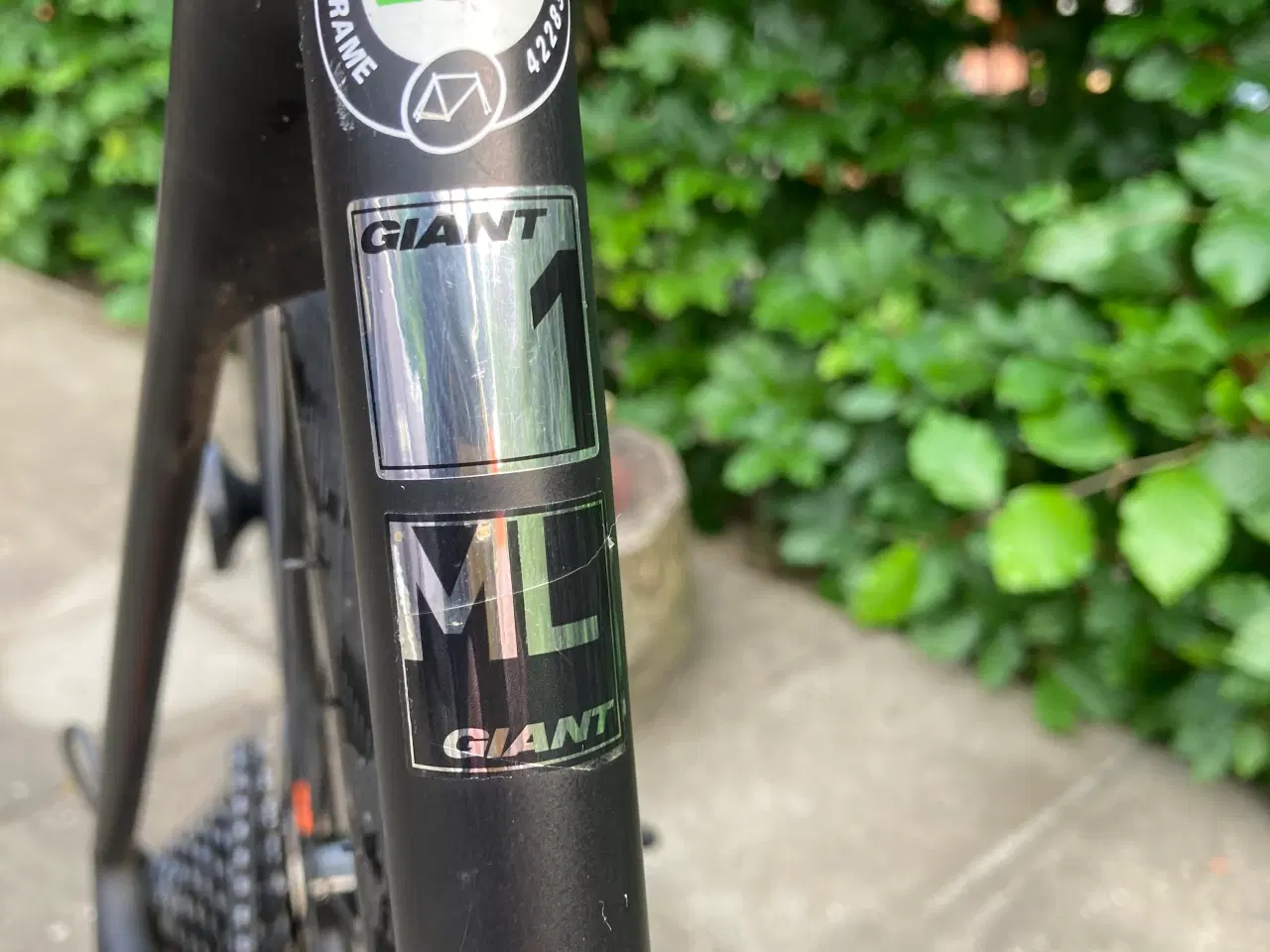 Billede 3 - Giant TCR Adv 1 Disc
