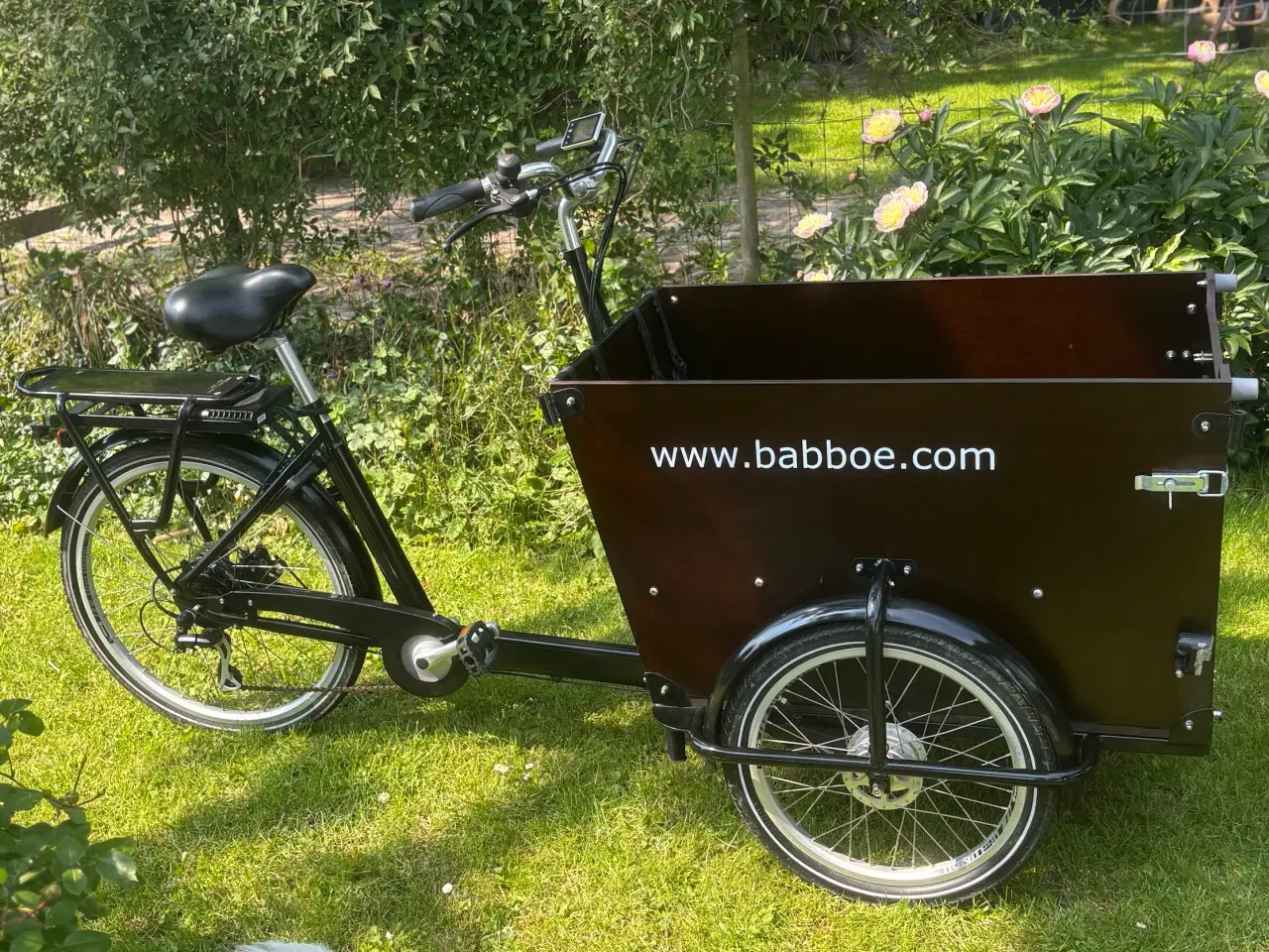 Billede 3 - Elladcykel - Babboe Dog - til hunde og mindre børn