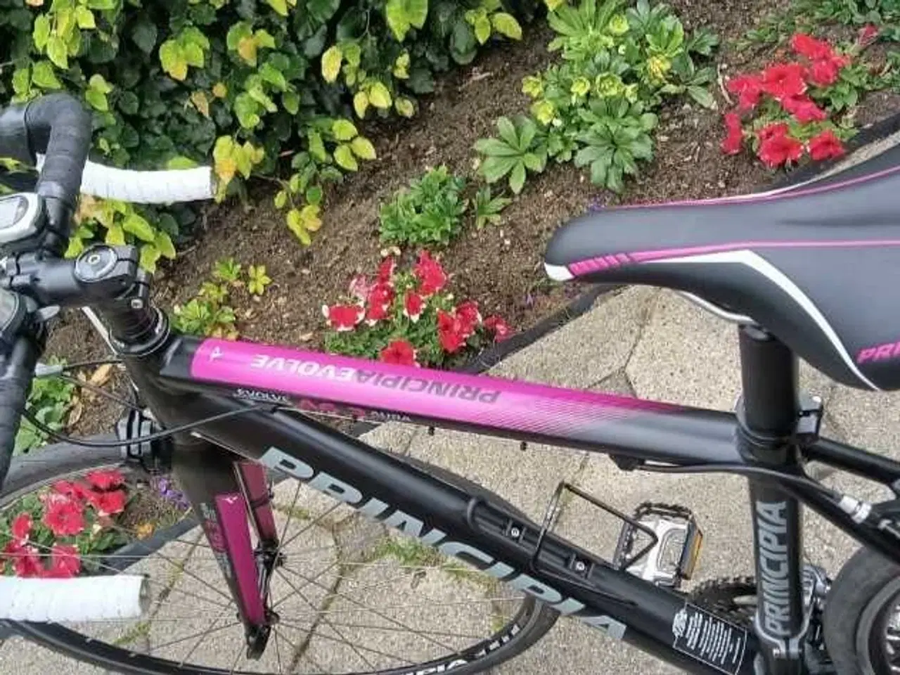 Billede 2 - Racercykel PRINCIPIA EVOLVE/ AURA A 6.3