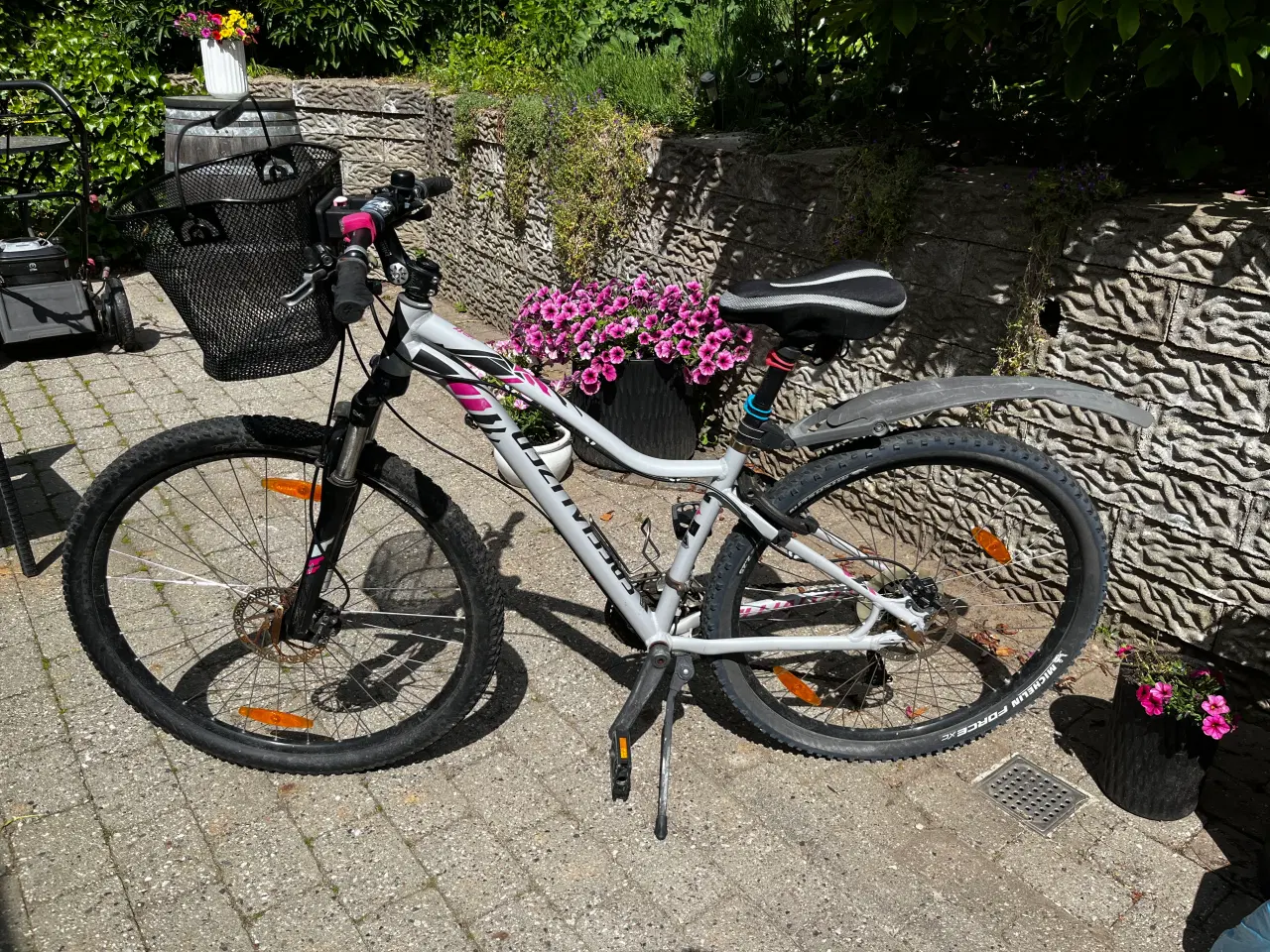 Billede 1 - Specialized MTB