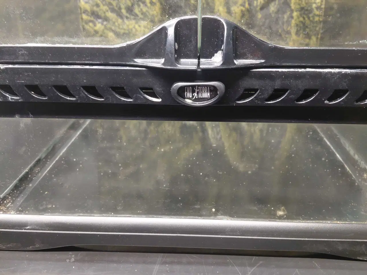 Billede 8 - Exo Terra Glass Terrarium