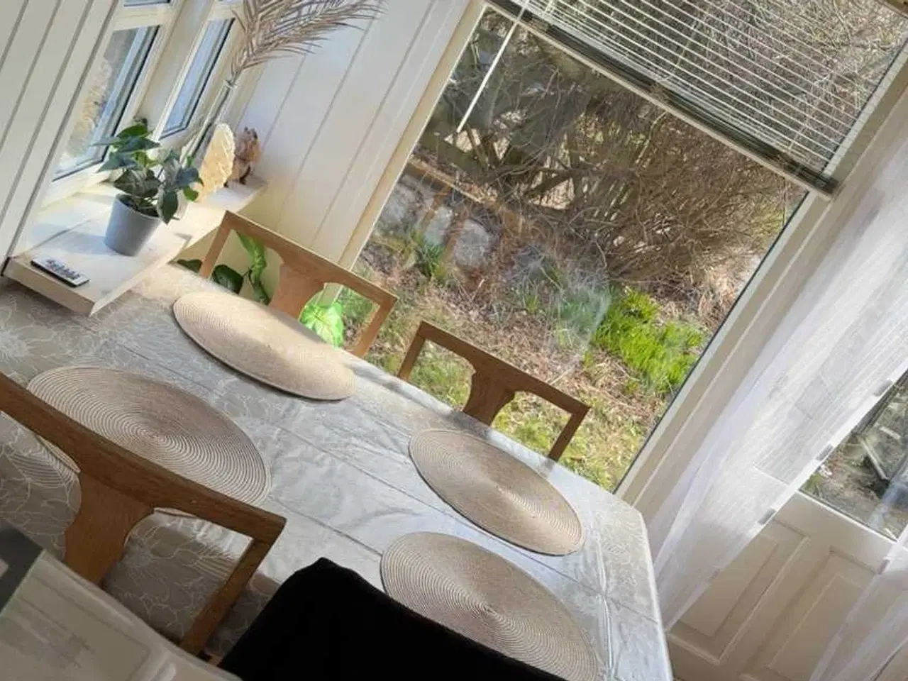 Billede 9 - Kolonihave hus flade enge Frederikshavn 