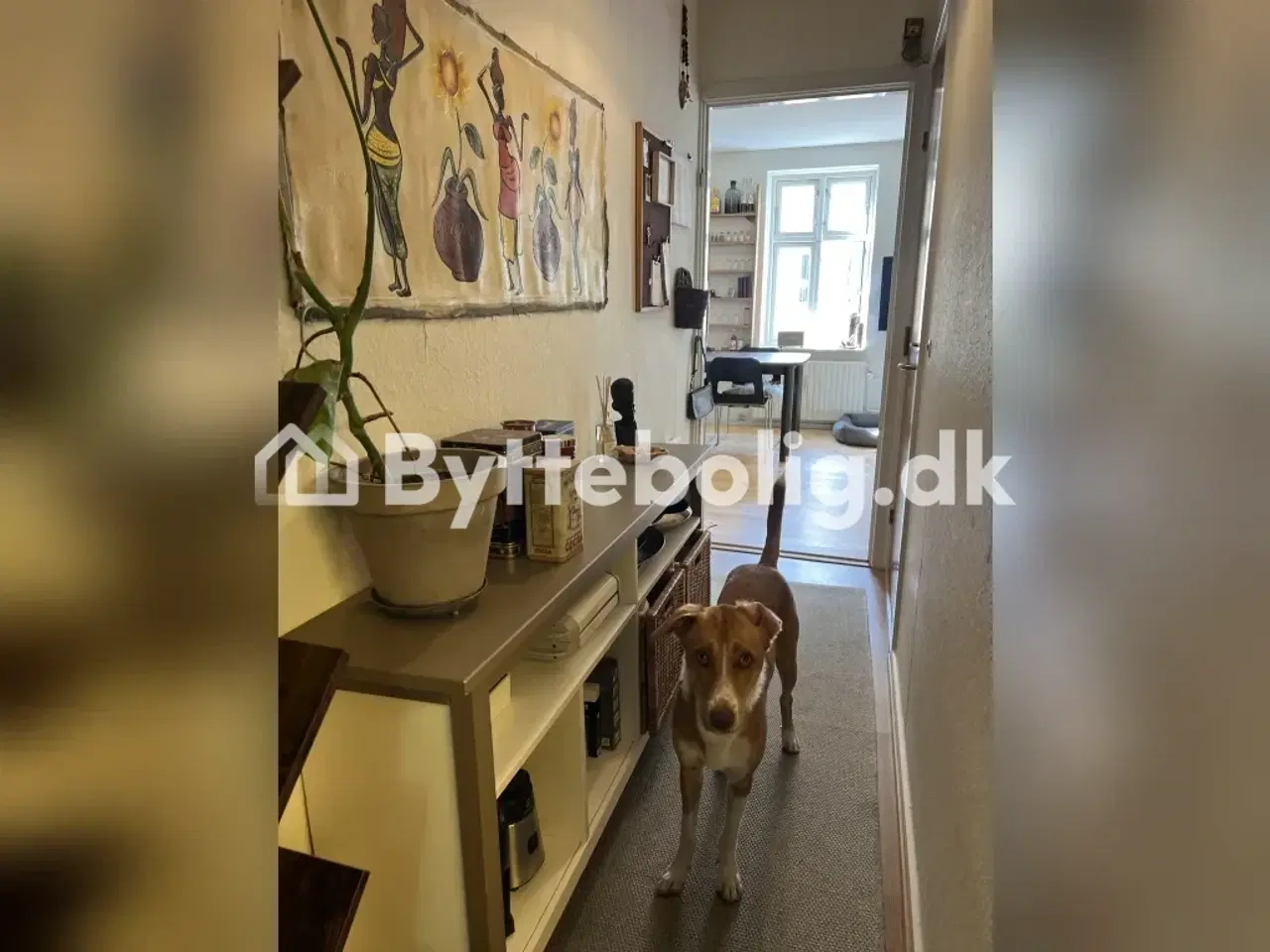 Billede 14 - En 2-værelses perle, ved jærgergårdsgade og banegården