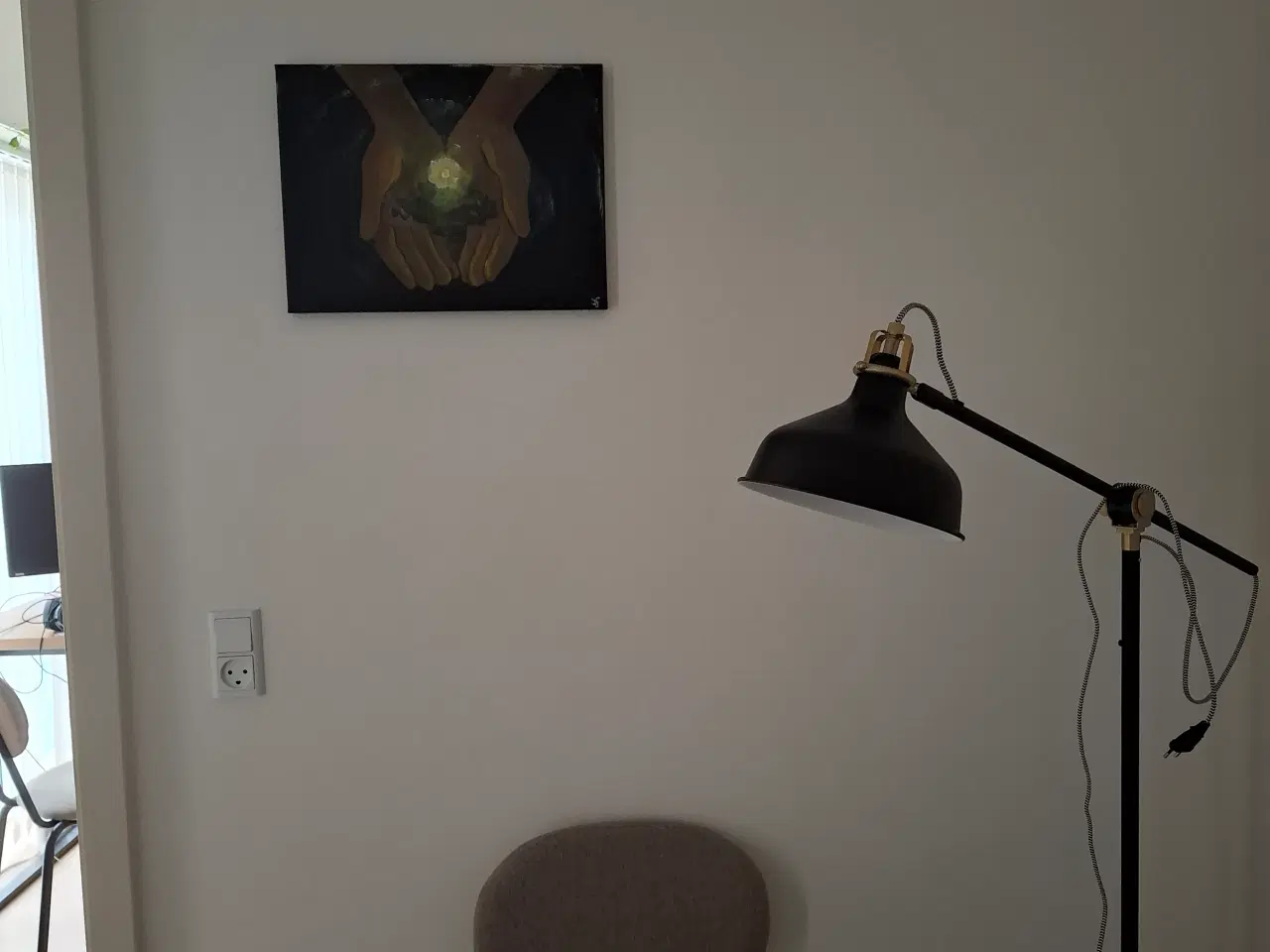 Billede 1 - Sometimes all you need is a single seed 