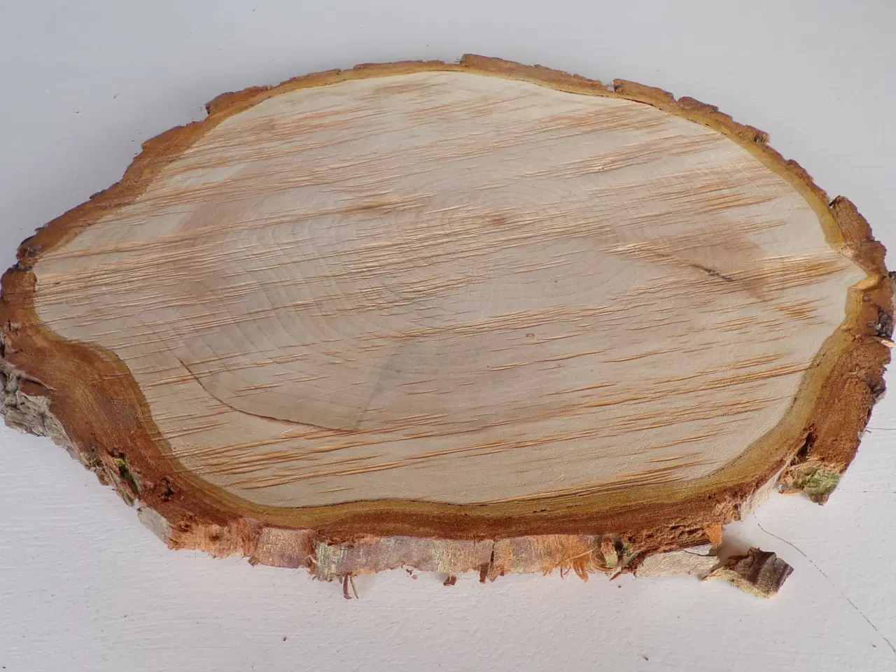 Billede 3 - NY Thuja Træskive med bark 30 cm lang