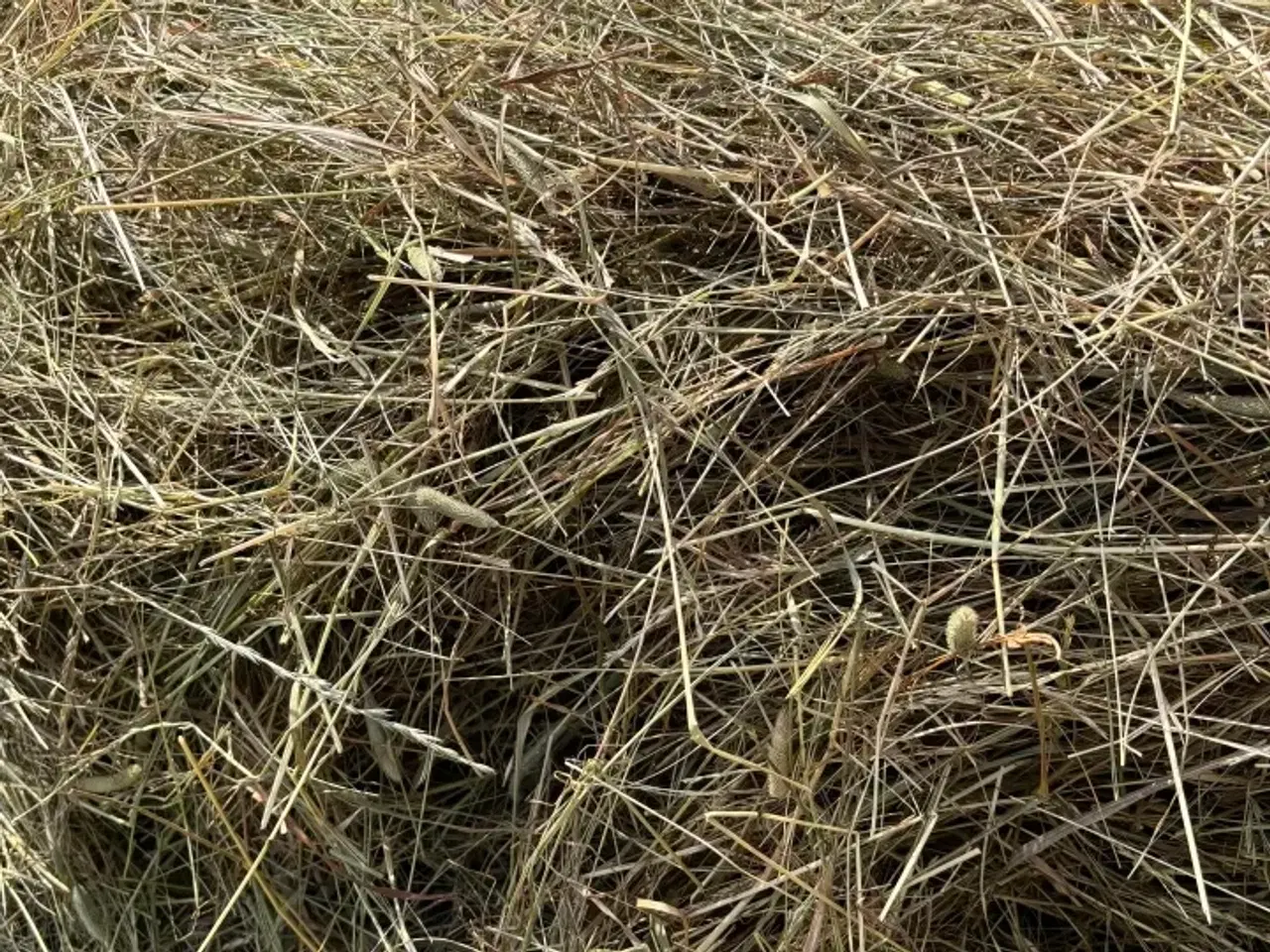 Billede 3 - 2 slet kvalitets wrap