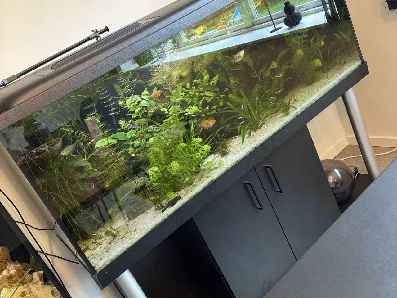 Billede 1 - Akvarie 450L