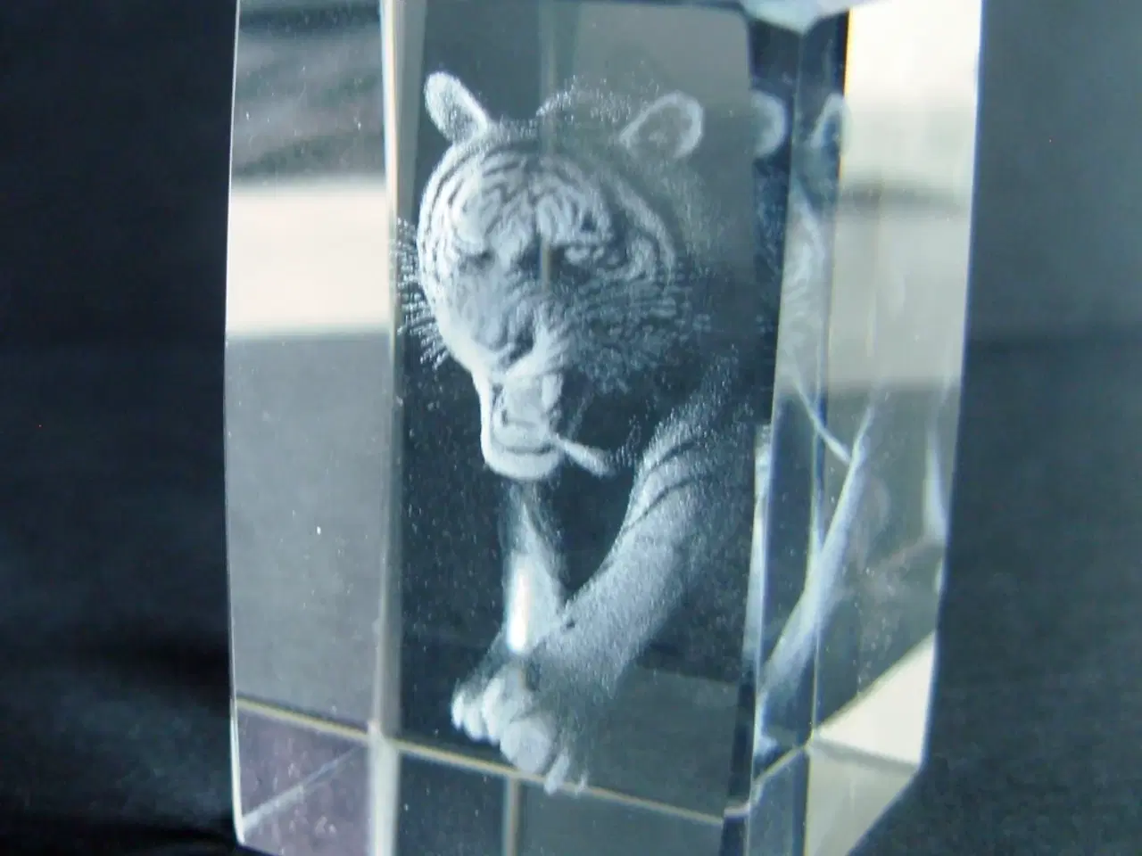 Billede 1 - 3D laserindgraveret tiger i glas