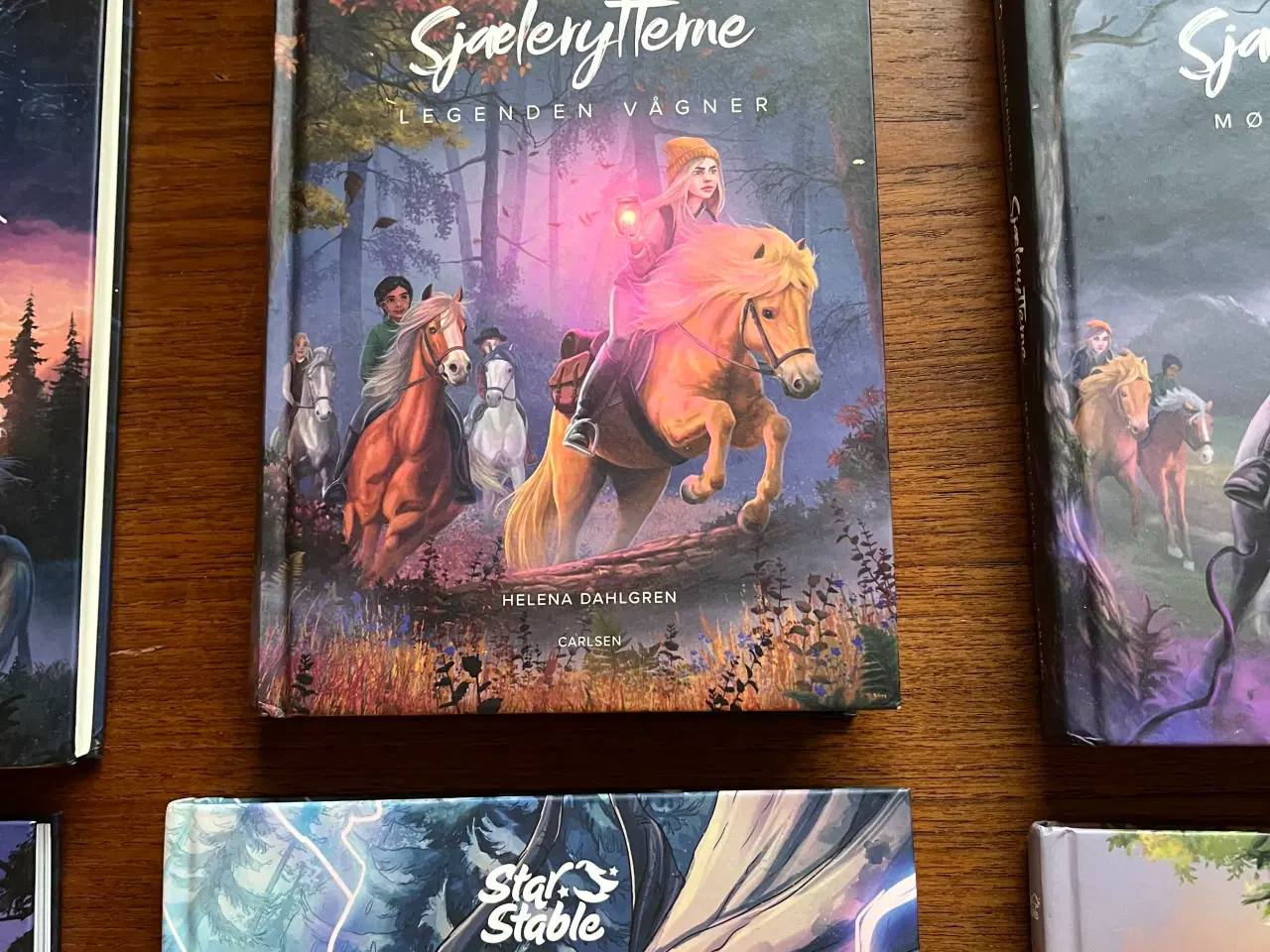 Billede 3 - Heste bøger