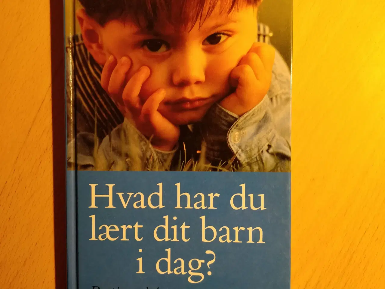 Billede 1 - Hvad har du lært dit barn i dag