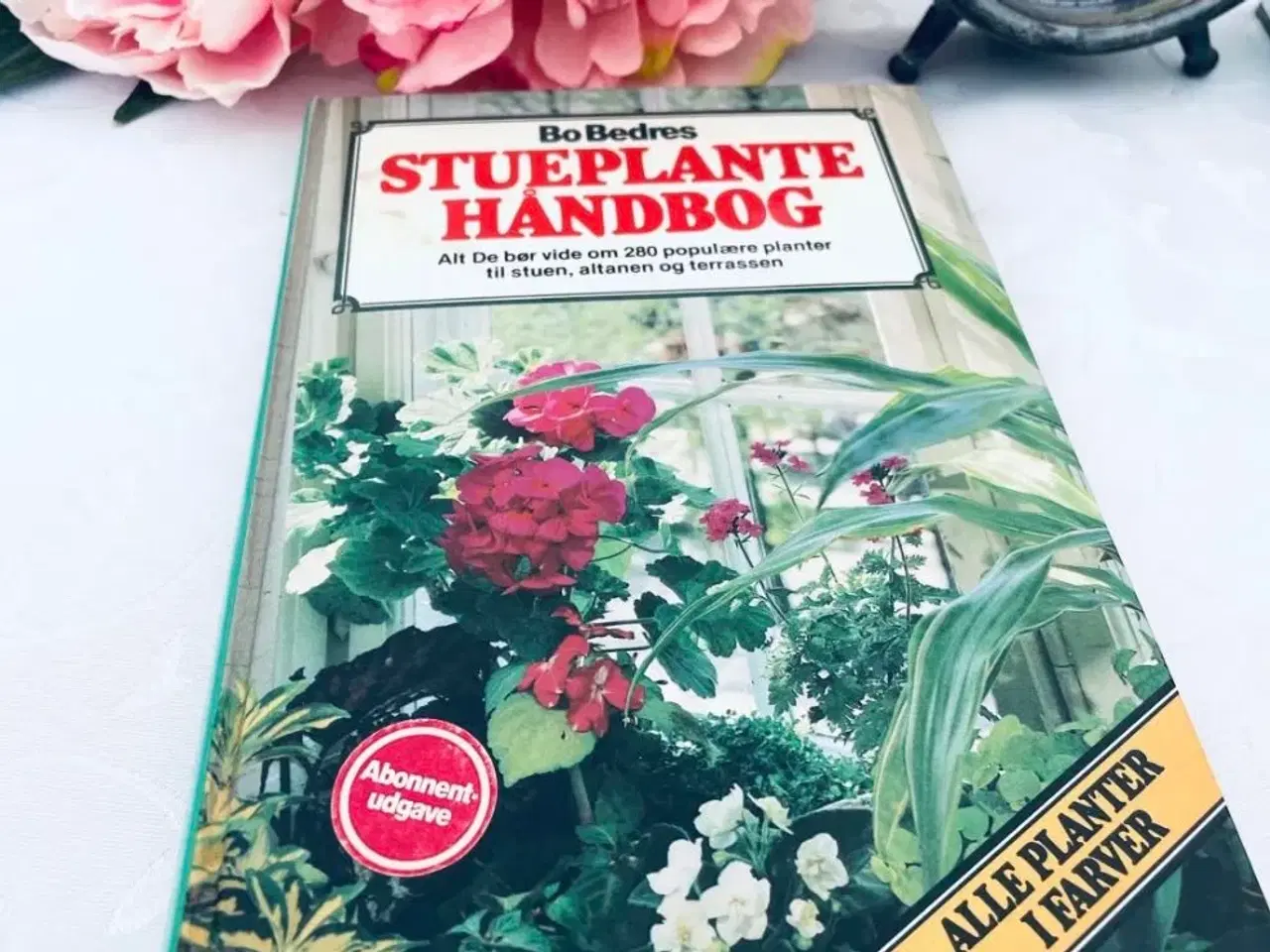 Billede 1 - Stueplanter bo bedre 