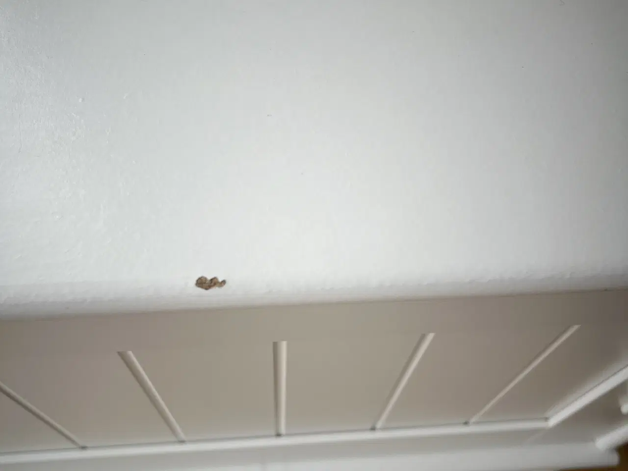 Billede 3 - Tv reol/ reol med skydelåge