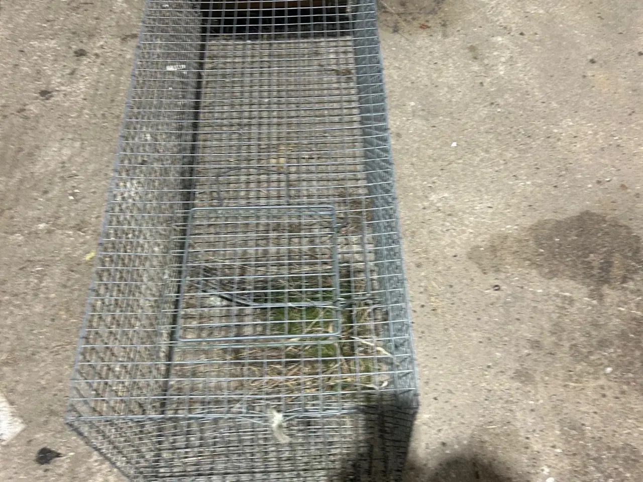 Billede 1 - Ræve fælde m/klap af træ