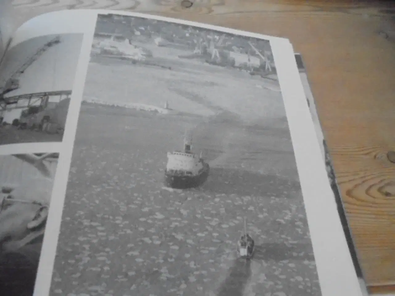 Billede 9 - ØJEBLIKSBILLEDER FRA FREDERIKSHAVN - 1986 - FINE F