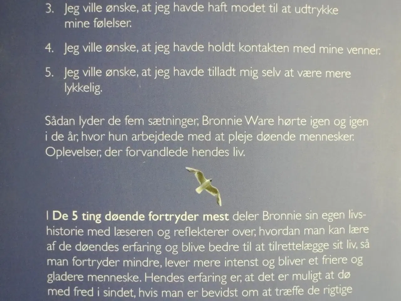 Billede 3 - de 5 ting døende fortryder mest, af bronnie ware, 