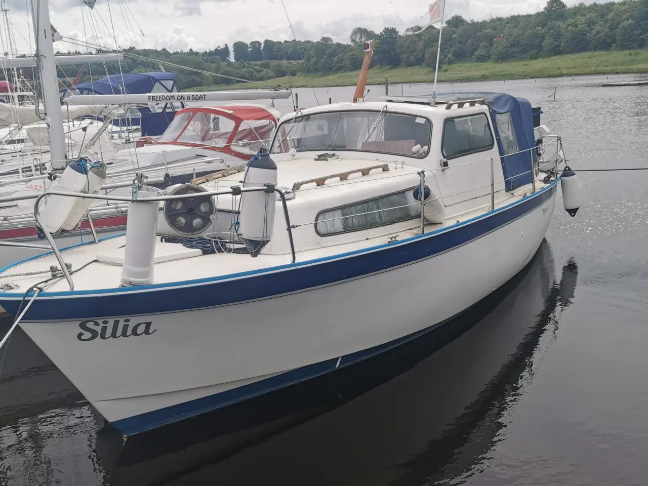 Billede 9 - ALBIN 25