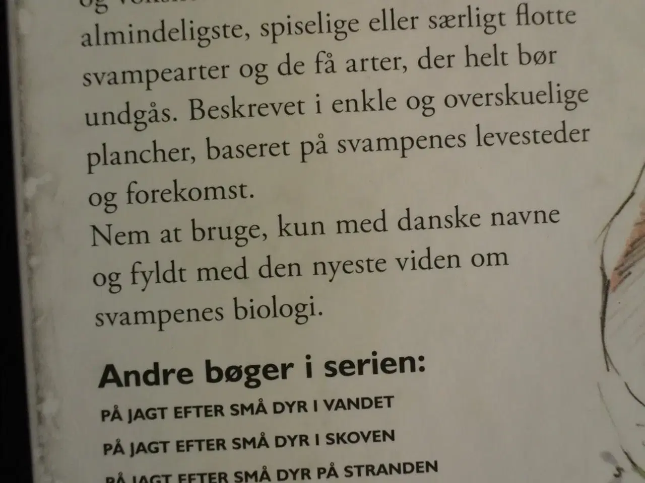 Billede 2 - på jagt efter svampe, af peter nielsen, emne: natu