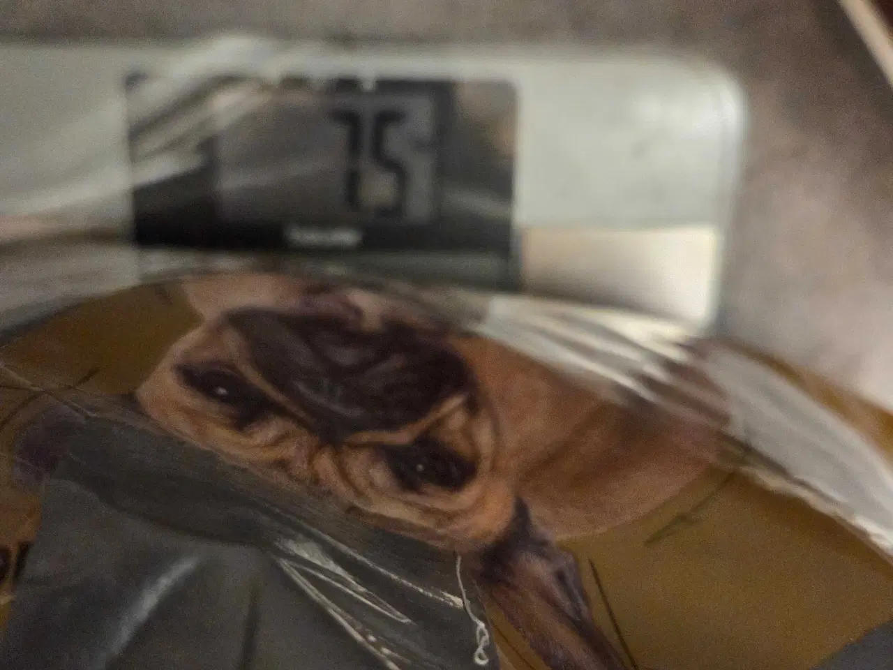 Billede 5 - Hunde foder