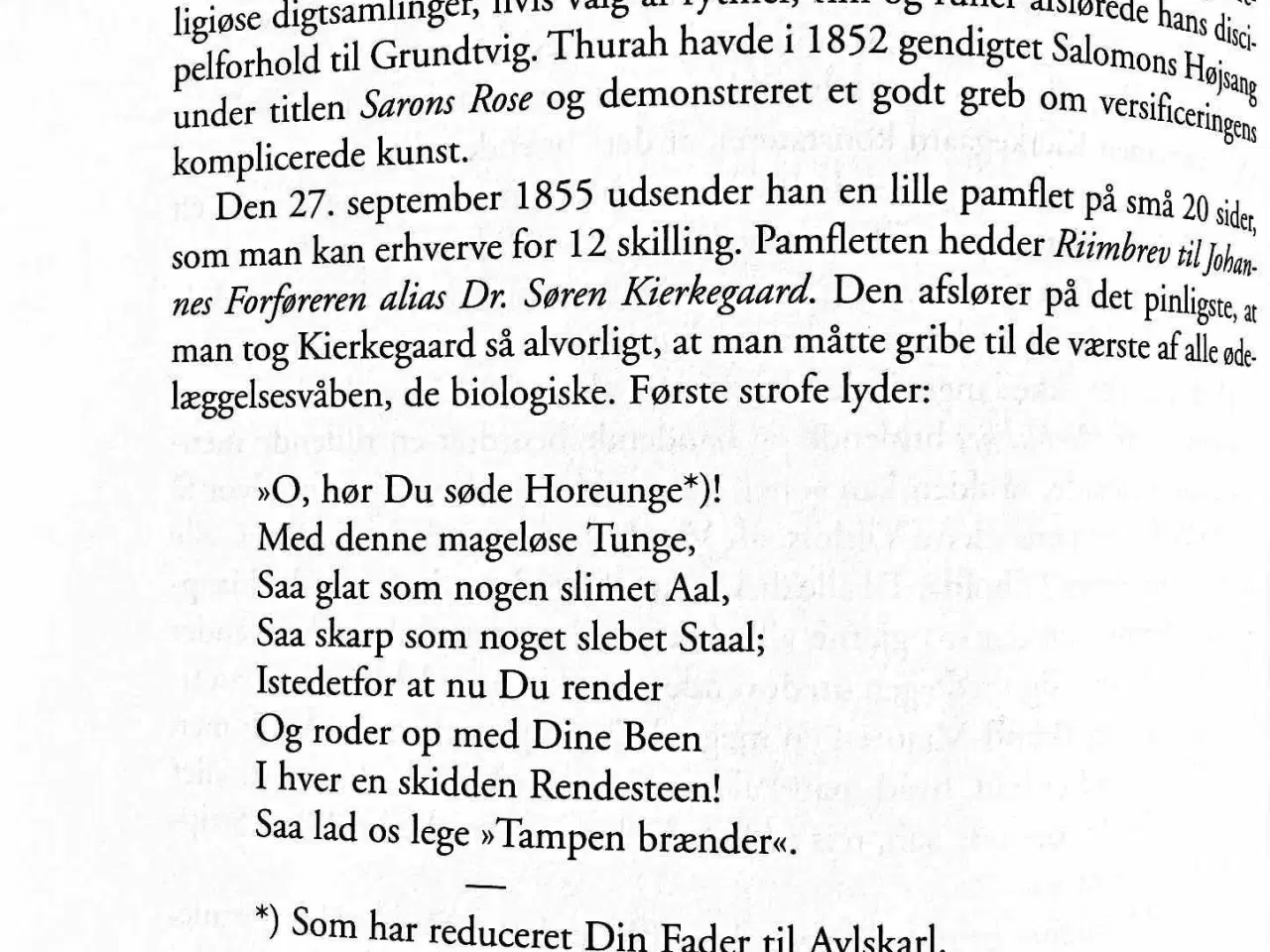 Billede 5 - SAK Søren Aabye Kierkegaard - Joakim Garff
