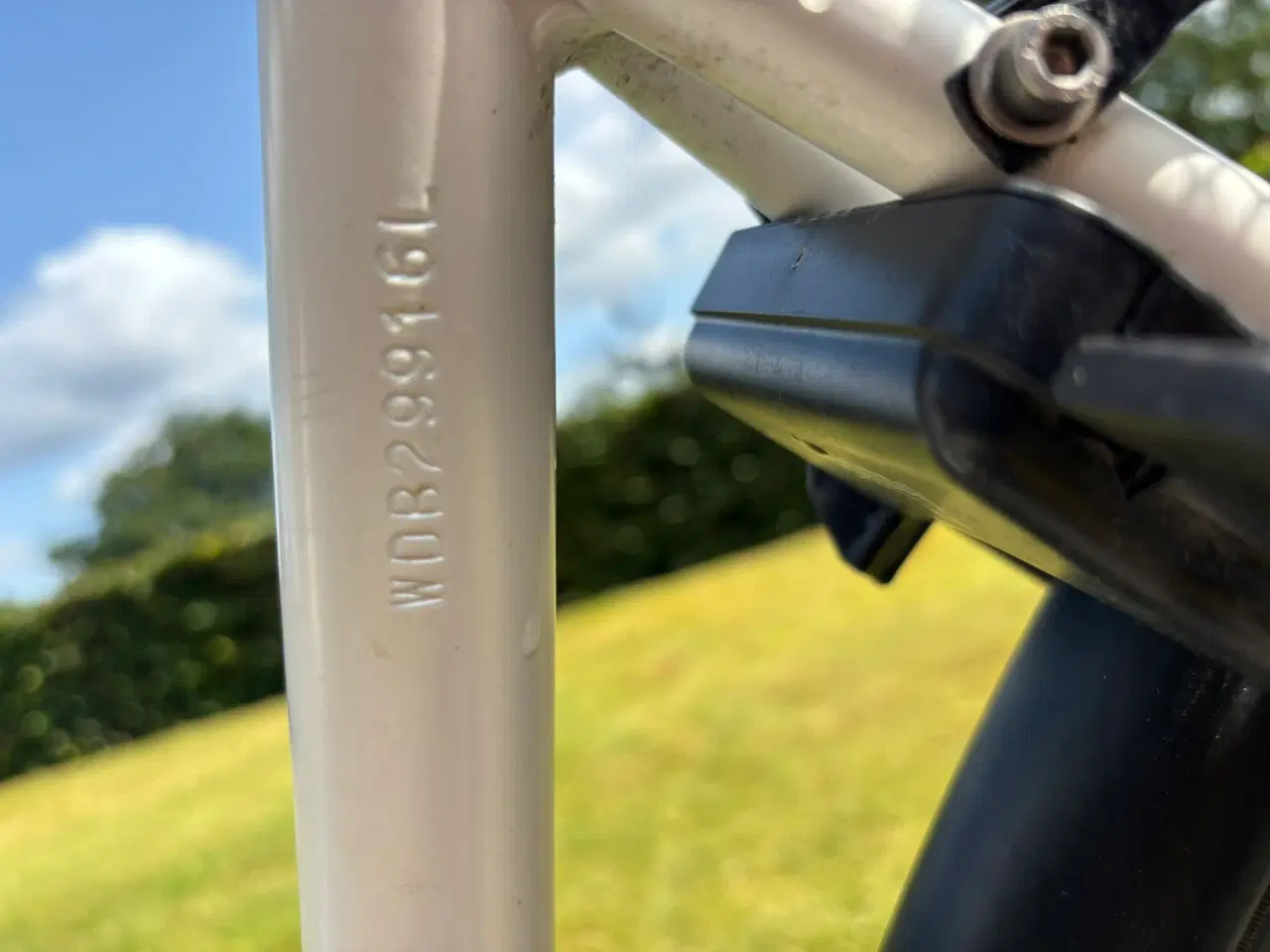 Billede 3 - Mustang Addison citybike