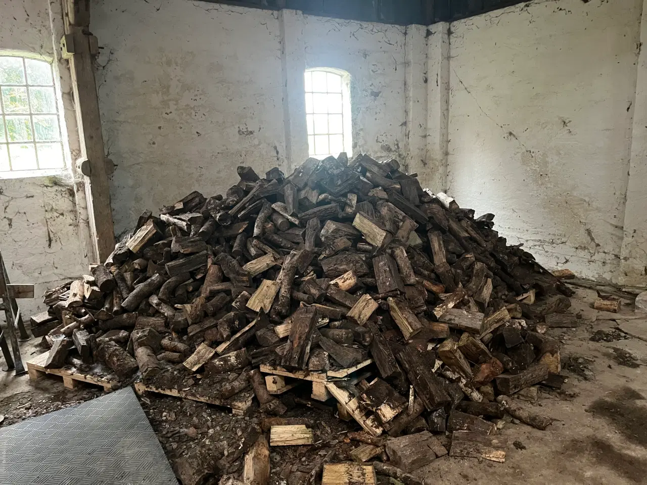 Billede 1 - Træ ca 7 meter