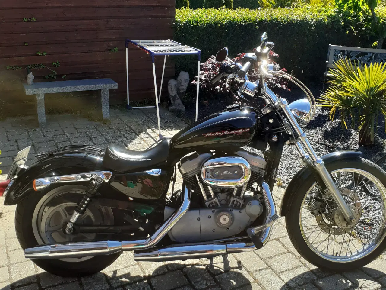 Billede 3 - harley davidson