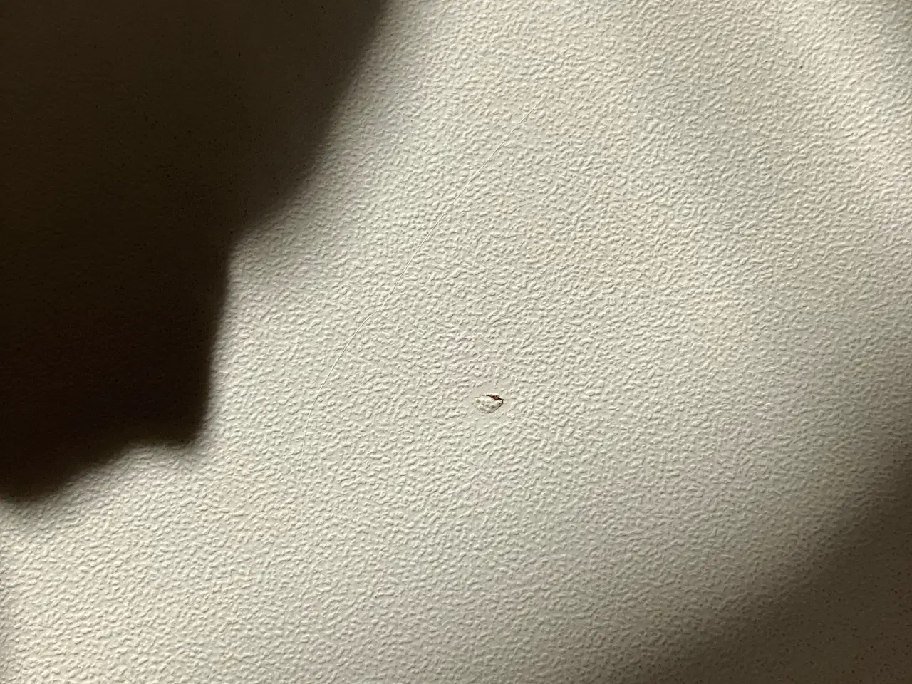 Billede 6 - Ellipsebord hvid med stålben 