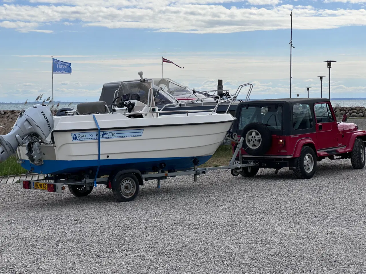Billede 2 - Ryds 485 Big Fish 