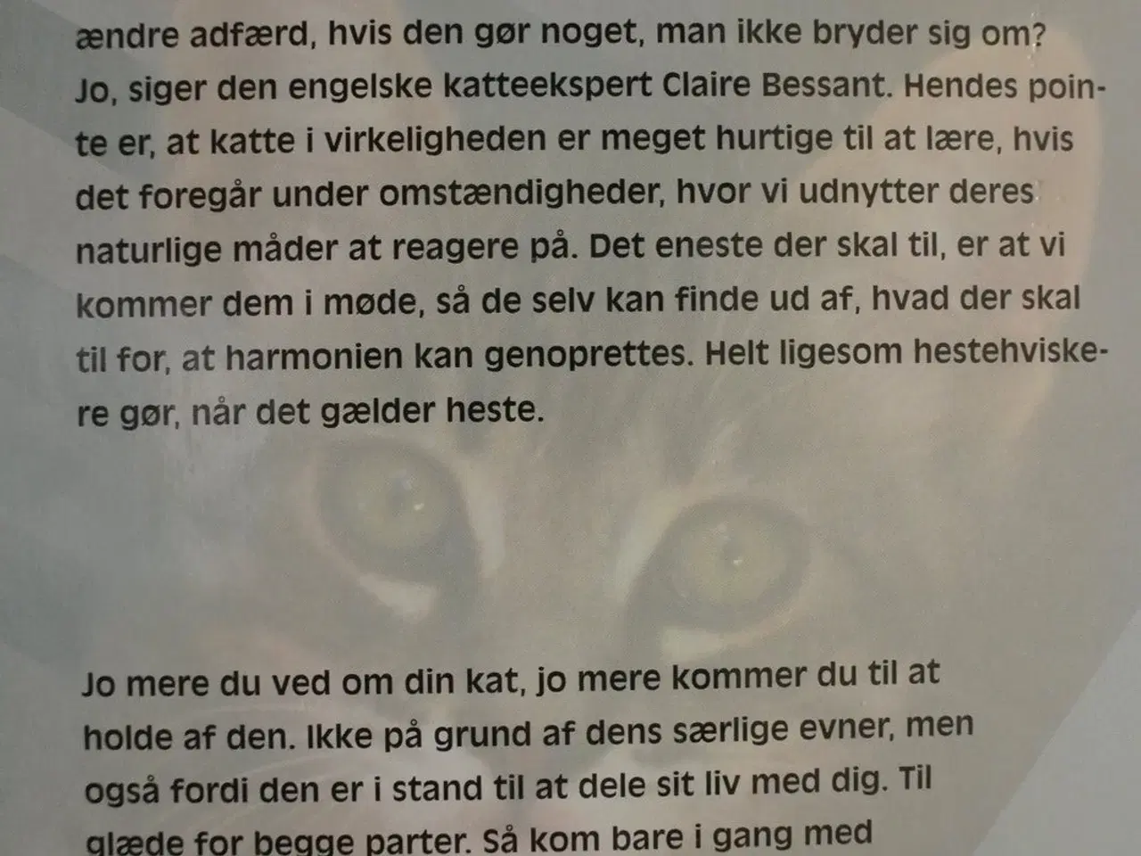 Billede 5 - kattehviskeren - sådan taler du med din kat, af cl