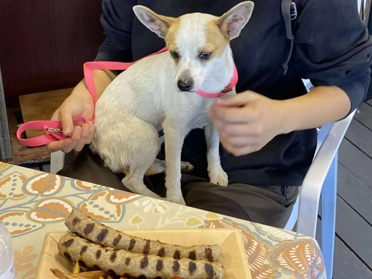 Billede 2 - Lille Viggo leder efter sit eget hjem